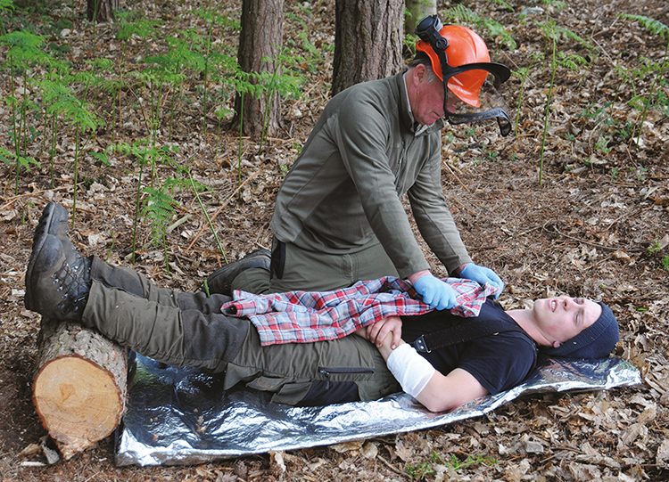 Emergency First Aid at Work + Forestry (EFAW + F)